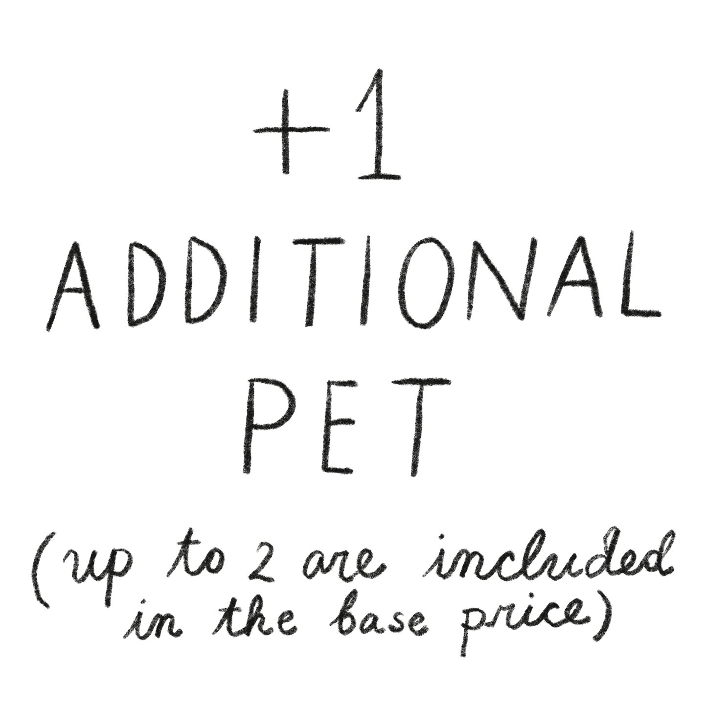 Custom pet portrait