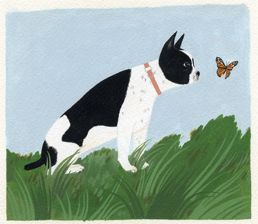 "Boston Terrier" original painting