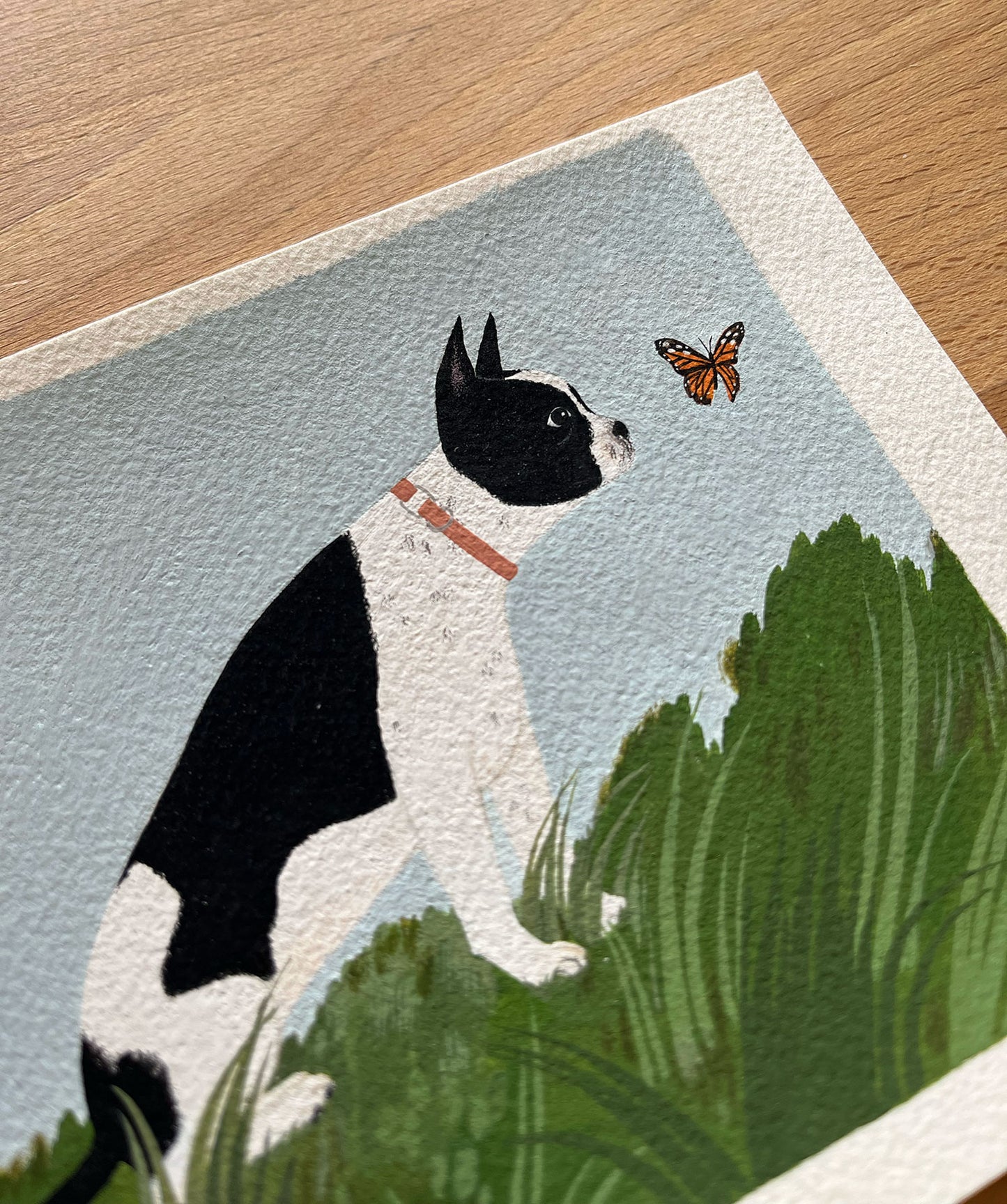 "Boston Terrier" original painting