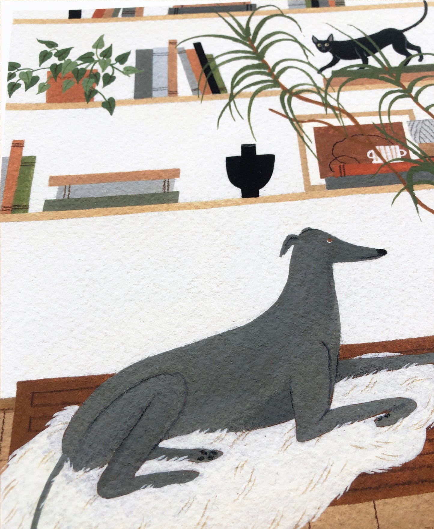 "Greyhound and Cornish Rex" print