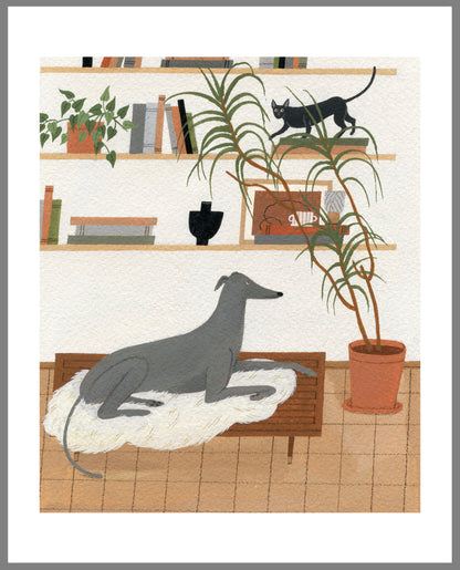 "Greyhound and Cornish Rex" print