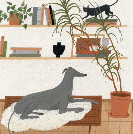 "Greyhound and Cornish Rex" print